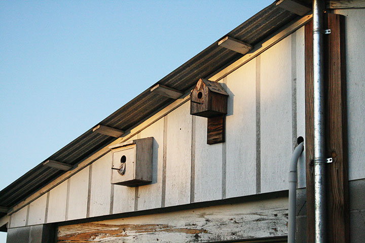 Harold_birdhouse (1)